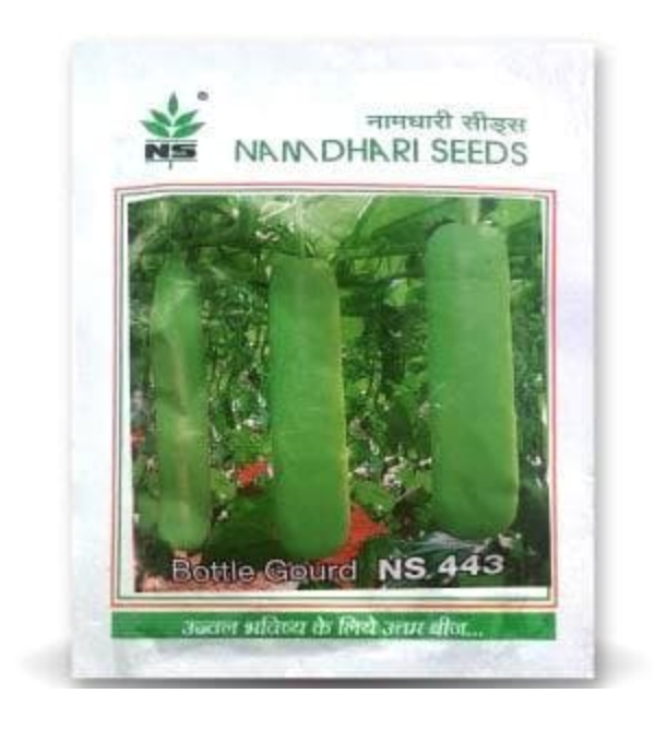 NS 443 BOTTLE GOURD ( एन एस 443 लौकी )
