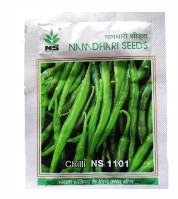 NS 1101 F1 Hybrid Chilli Seeds