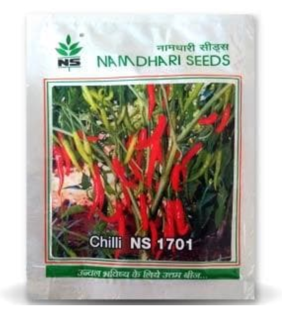 NS 1701 CHILLI SEEDS