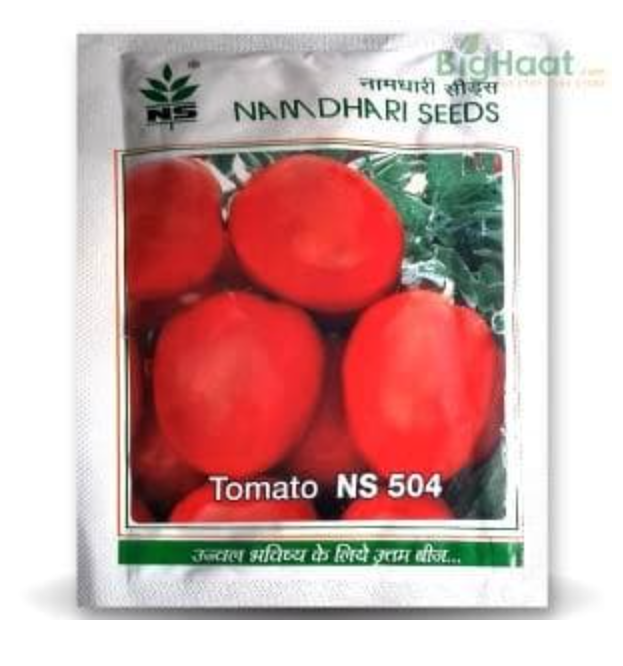 NS 504 (NS 104) TOMATO (एन एस 504)