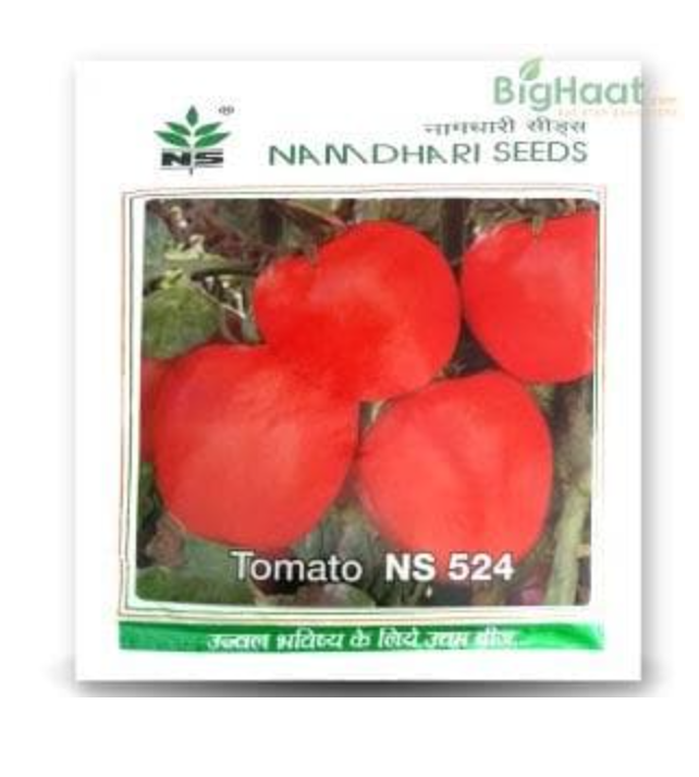 NS 524 TOMATO ( एनएस 524 टमाटर )