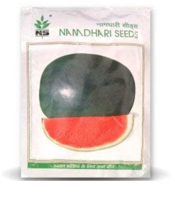 NS 252 WATERMELON