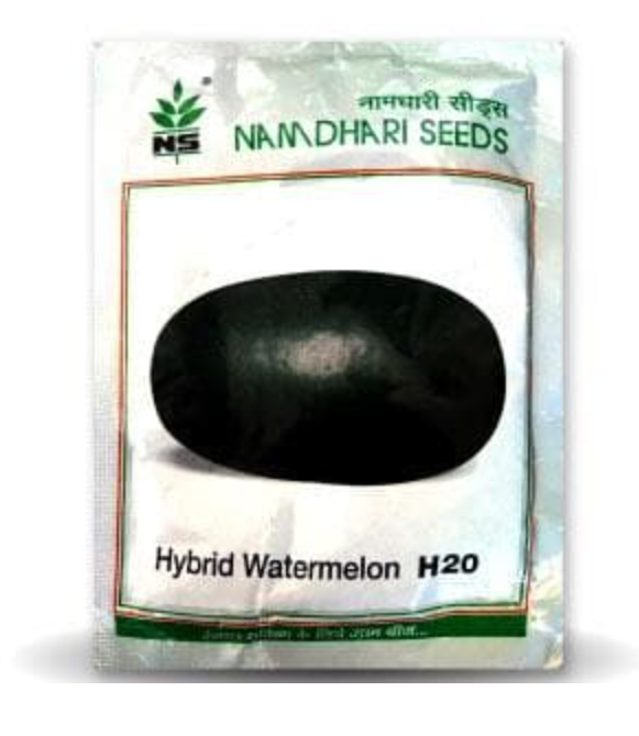 NS 20 పుచ్చకాయ/ తర్భుజా (H 20 పుచ్చకాయ/ తర్భుజా )