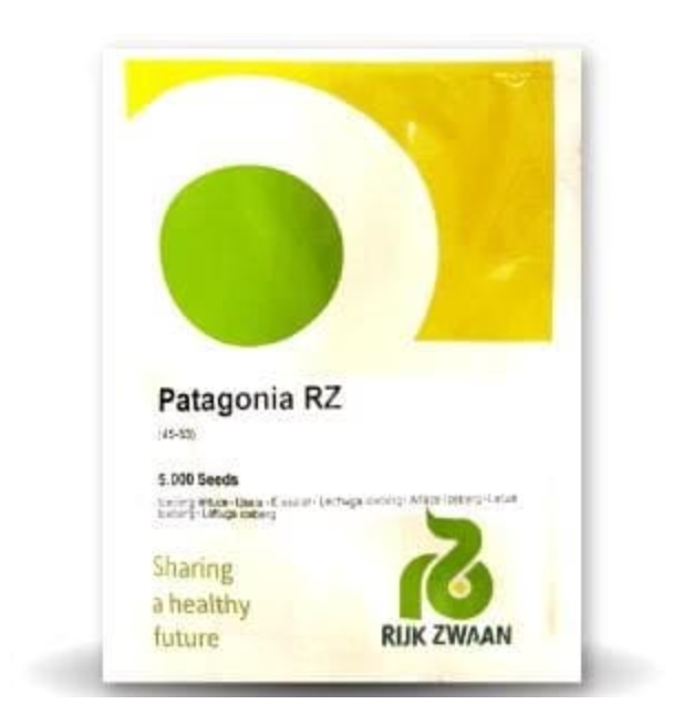 PATAGONIA RZ (45-53) ICEBERG LETTUCE