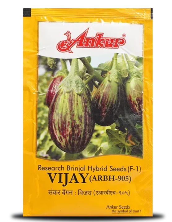 VIJAY BRINJAL