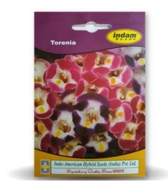 TORENIA