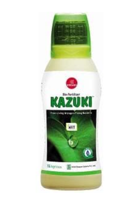 KAZUKI