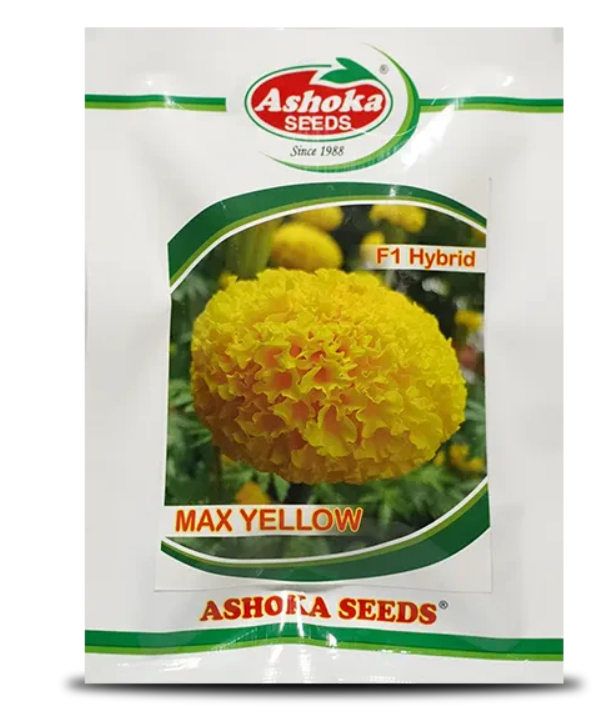 Max Yellow Marigold Seeds