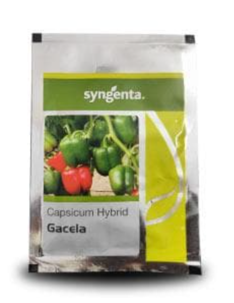 GACELA CAPSICUM