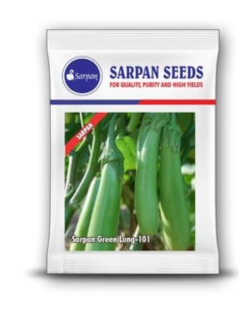 SARPAN HYBRID GREEN BRINJAL LONG-101 (SEEDS)