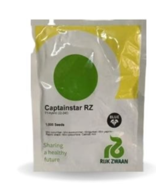 CAPTAINSTAR RZ F1 HYBRID (22-240) - MINI CUCUMBER