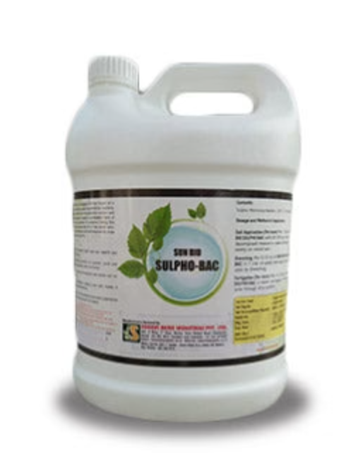 SUN BIO SULPHO BAC (BIO FERTILIZER SULPHUR OXIDIZING BACTERIA)