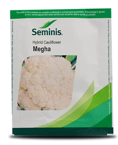 MEGHA CAULIFLOWER SEEDS