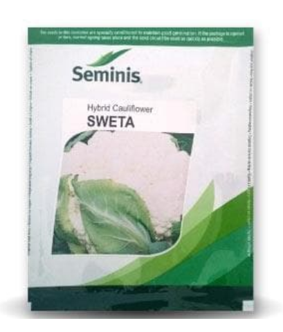 SWETA CAULIFLOWER