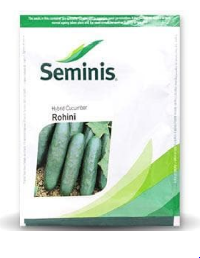 ROHINI CUCUMBER (CORTEZ UNBL) - रोहिणी