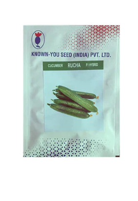 RUCHA CUCUMBER (ऋचा)