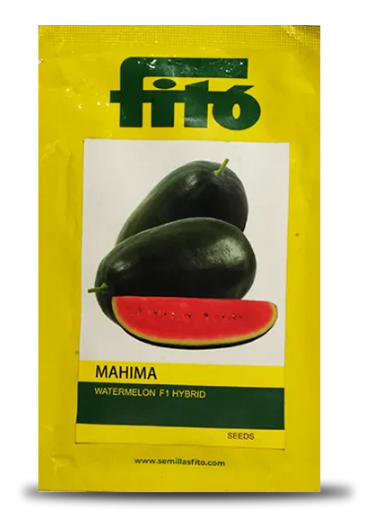 महिमा तरबूज