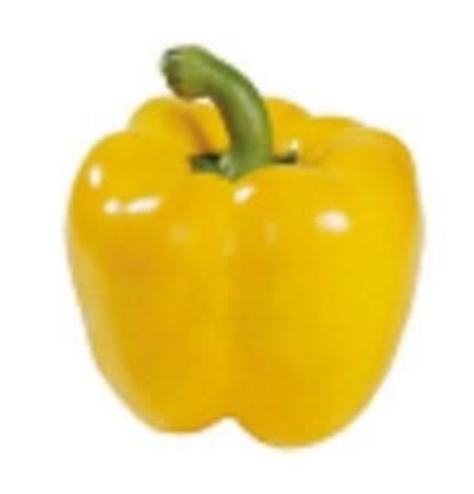 YELLOW QUEEN CAPSICUM SEEDS