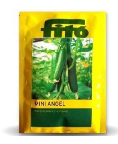MINI ANGEL CUCUMBER