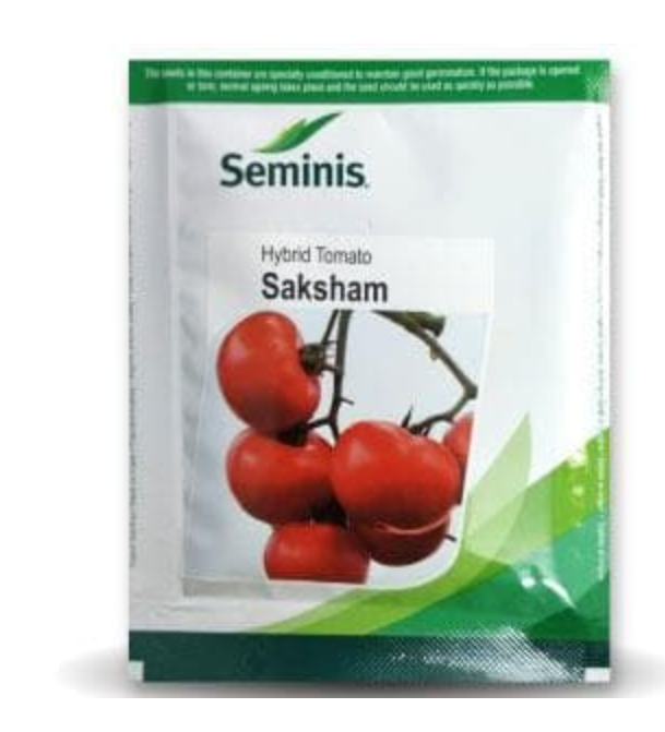 Saksham Tomato Seeds: High Yield, Heat Tolerant, Firm Red Fruits