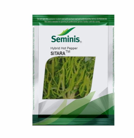 Sitara Chilli Seeds