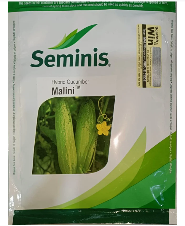 Seminis Malini Cucumber Seeds