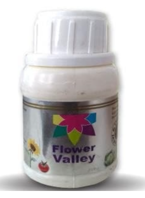 Flower Valley (Flower Booster): Colorful, High-Germination Ornamental Mix