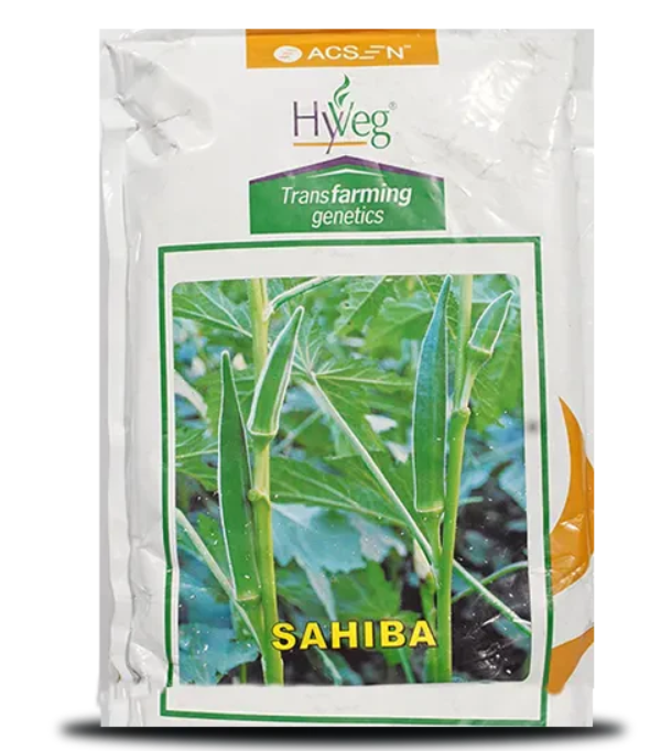 SAHIBA OKRA SEEDS ( साहिबा भिंडी )
