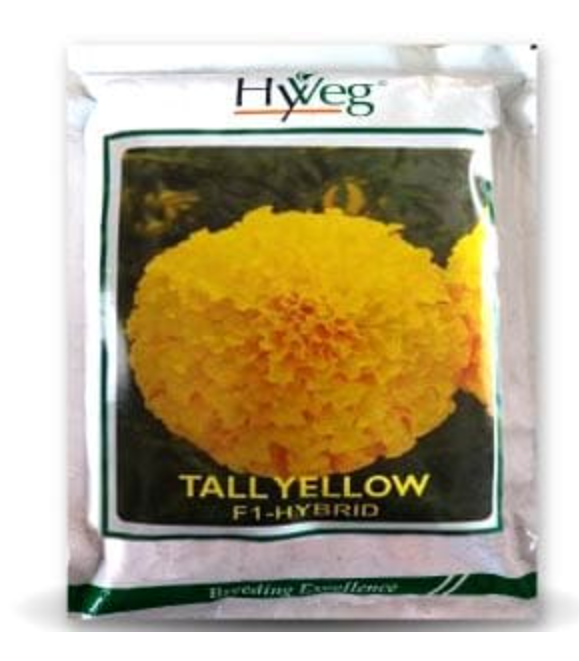 TALL YELLOW MARIGOLD