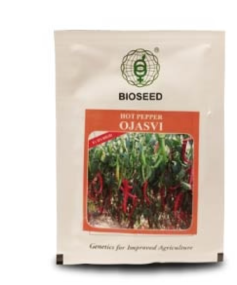 OJASVI CHILLI
