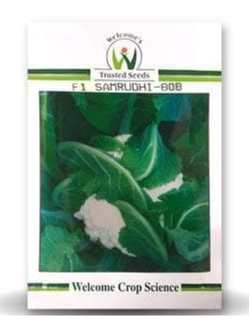 SAMRUDHI 808 CAULIFLOWER