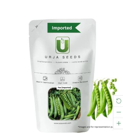 URJA MATAR PEA(IMPORTED)