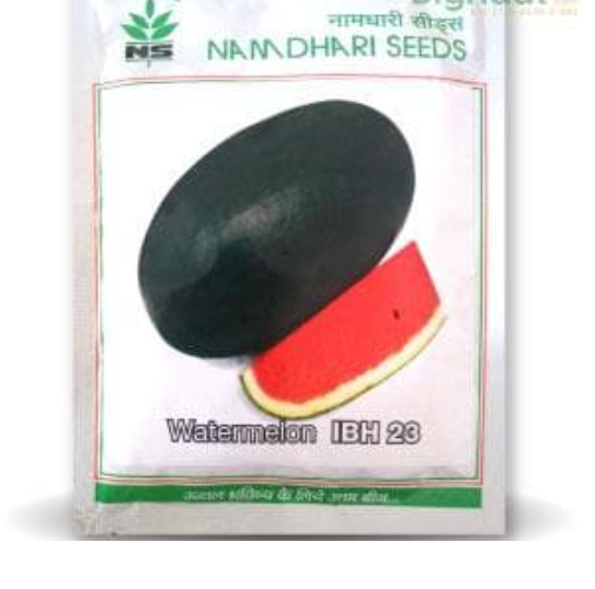 NS 23 WATERMELON (IBH 23 WATERMELON)