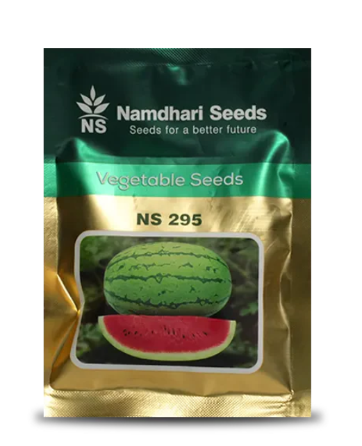 NS 295 F1 హైబ్రిడ్ పుచ్చకాయ/ తర్భుజా విత్తనాలు