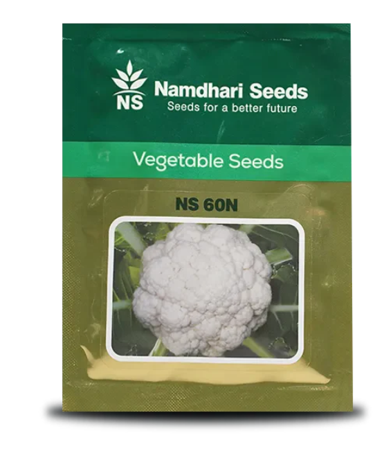 एनएस 60एन एफ1 संकर फूलगोभी के बीज