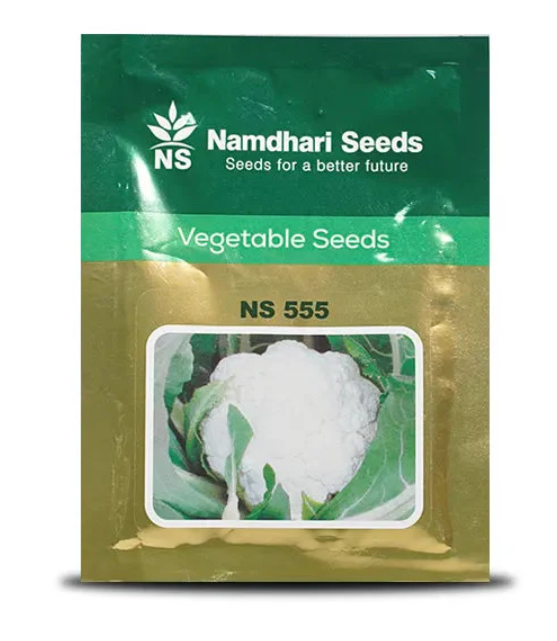 NS 555 F1 Hybrid Cauliflower Seeds – Mid-Season, High Yield, Pure White Curds
