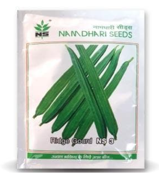 NS 3 F1 Hybrid Ridge Gourd Seeds