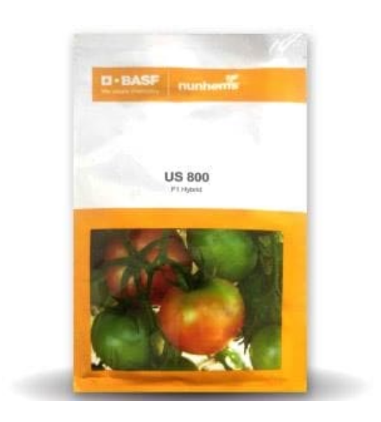 US 800 TOMATO