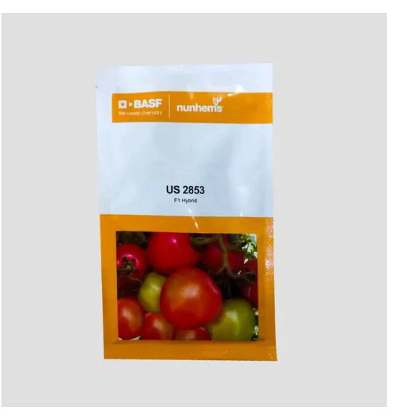 US 2853 TOMATO (यू एस 2853)