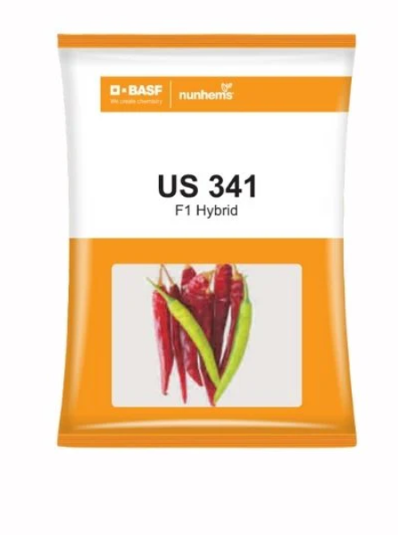 US 341 మిరప విత్తనాలు
