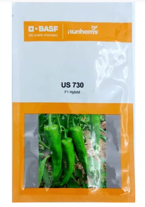 US 730 CHILLI