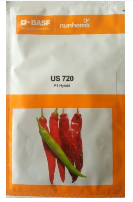 US 720 CHILLI SEEDS