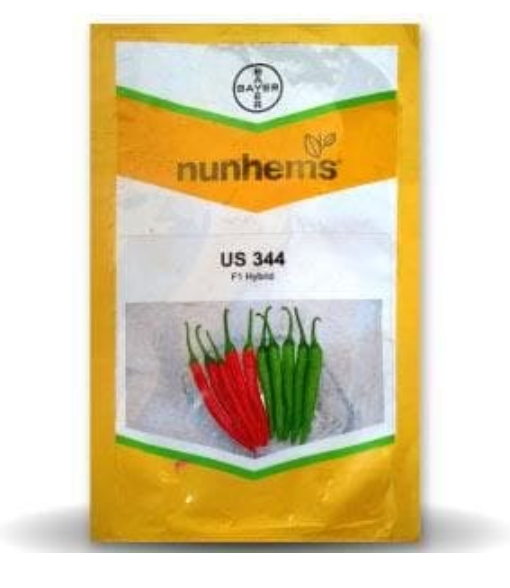 US 344 CHILLI