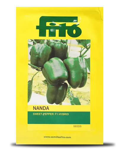 नंदा शिमला मिर्च