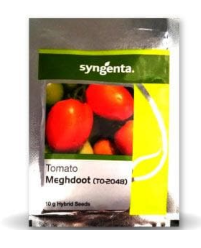TO-2048 (MEGHDOOT) TOMATO