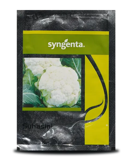 SUHASINI CAULIFLOWER
