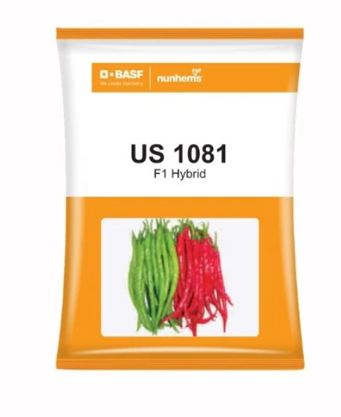 यूएस 1081 मिर्च