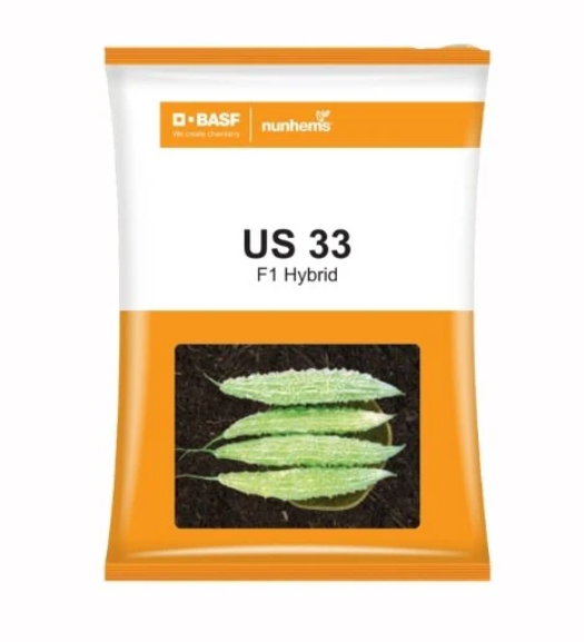 US 33 BITTER GOURD SEEDS