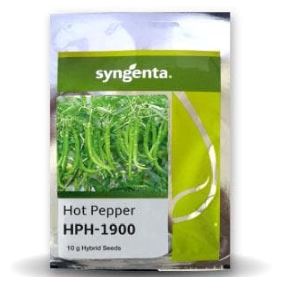 HPH 694 CHILLI SEEDS