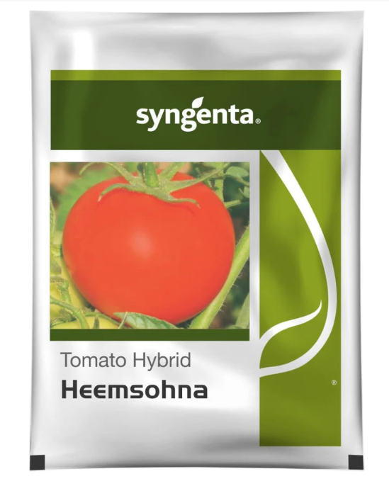 Heemsohna Tomato Seeds – High Yield, Ideal for Long-Distance Transportation